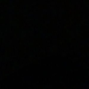 Meet your Posher, Qaaniesha